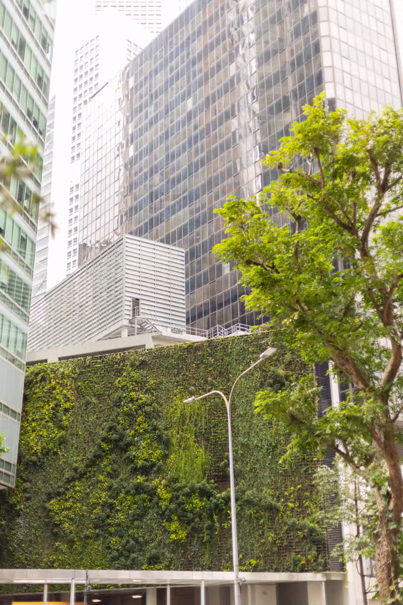 Modern office space with a view of the Singapore skyline