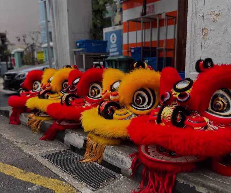 Dynamic and colorful Chinese lion dance performance
