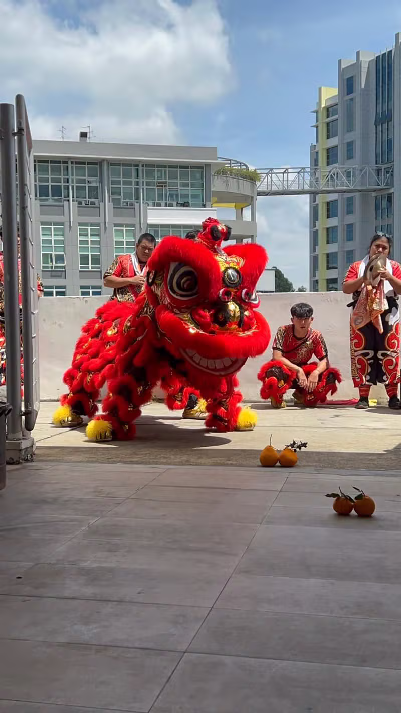 Red lion dance on the pavement outdoors