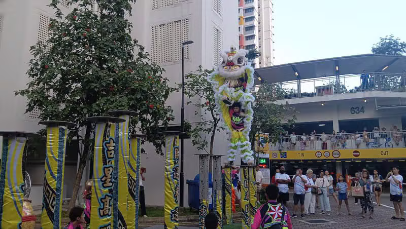 HIGH POLE PERFORAMCE by Hong Quan Lion and Dragon Dance