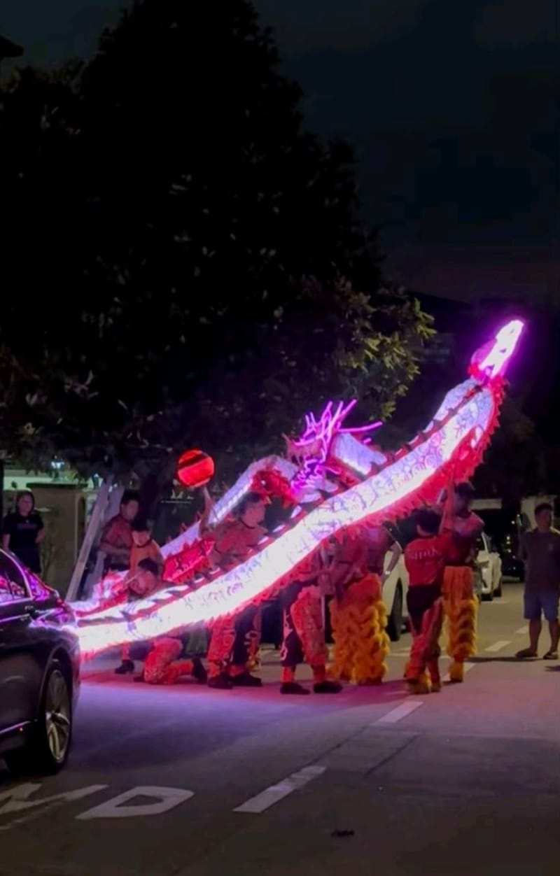 LED DRAGON performance by Hong Quan Lion and Dragon Dance