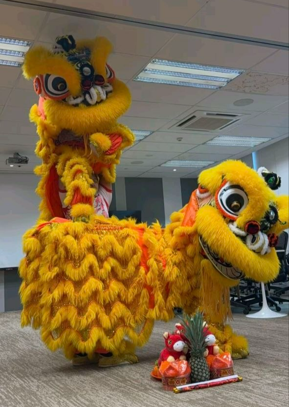 Two red and gold Chinese lion dancers performing a blessing in the street