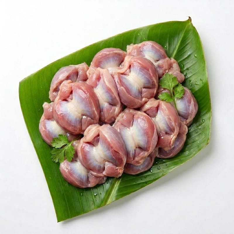 Chicken Gizzard {POTA}