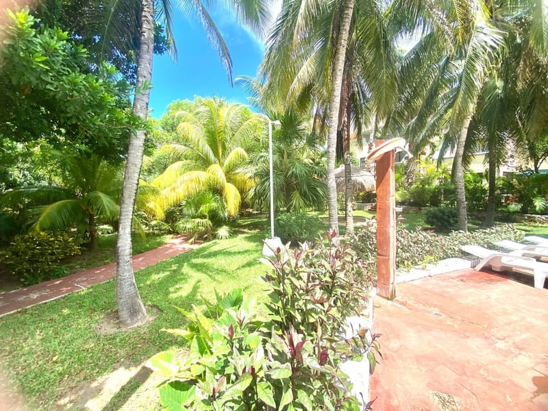 Galería