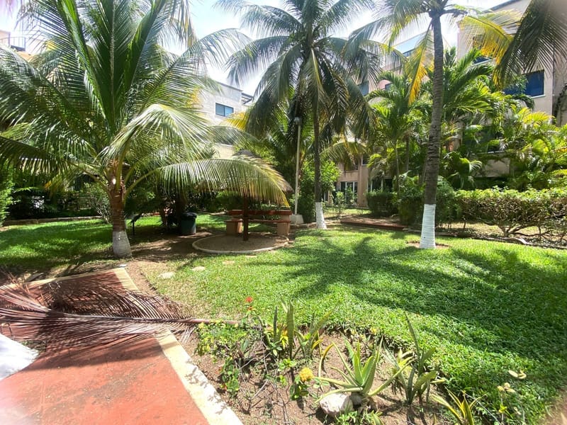 Galería
