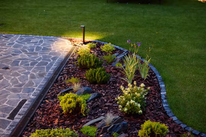 Garden pathway and trees illuminated by warm low-voltage landscape lighting at night