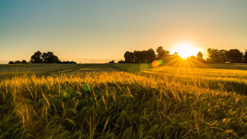 Agriculture & Crop Production operations