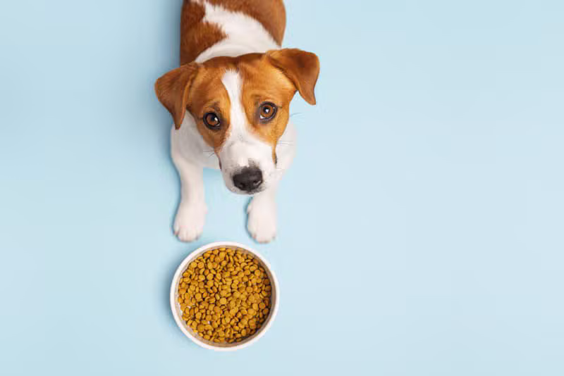 Pet Food Production operations