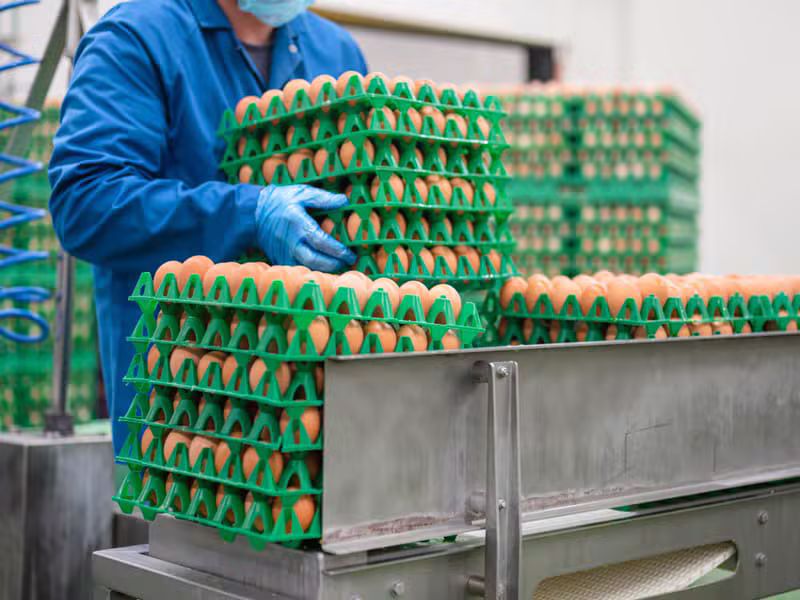 Food Production operations