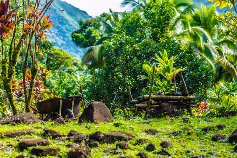 Jardin tropical entretenu à Punaauia