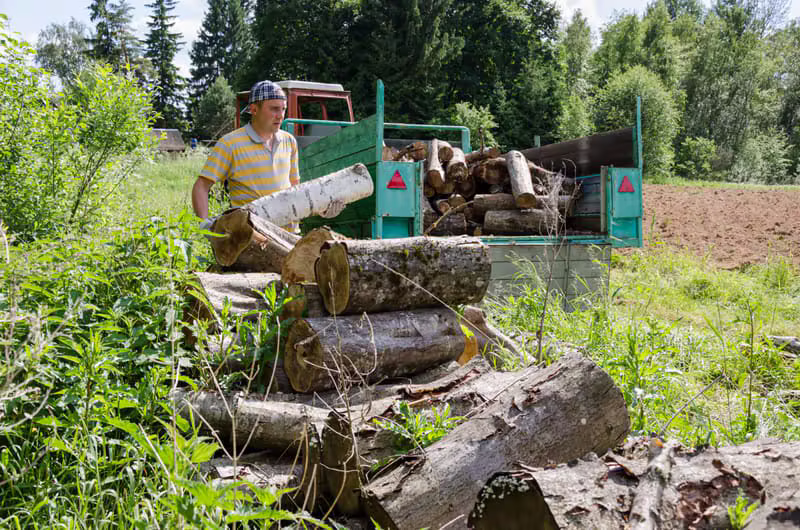 Évacuation de déchets verts