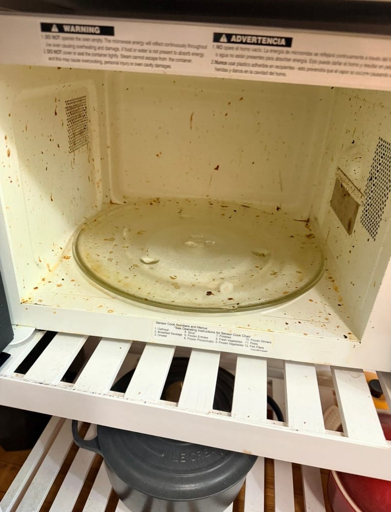Before cleaning: Microwave Cleaning
