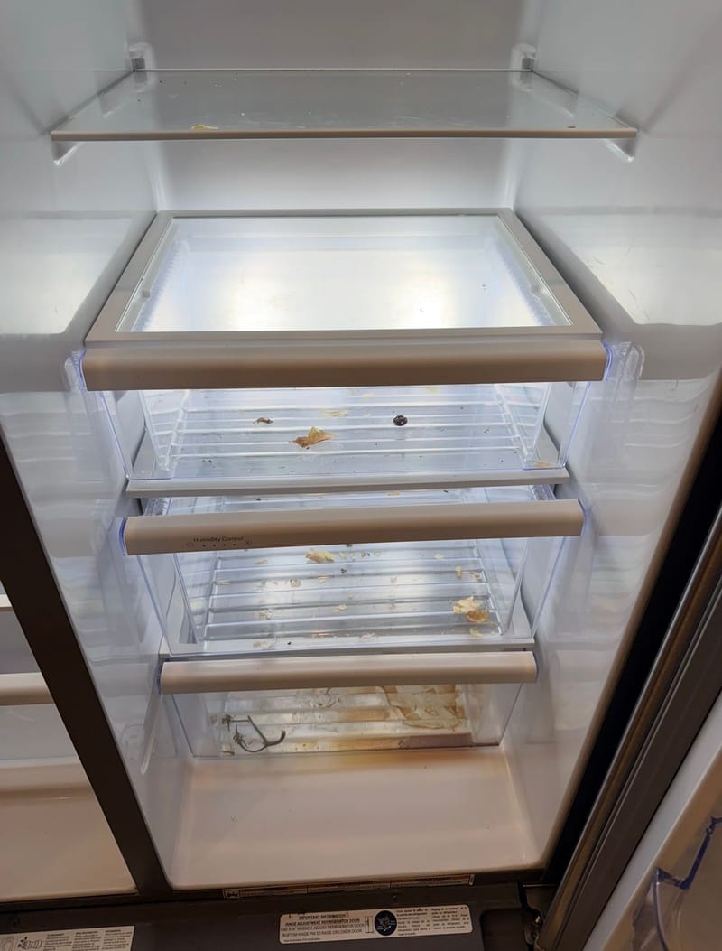 Before cleaning: Refrigerator Cleaning
