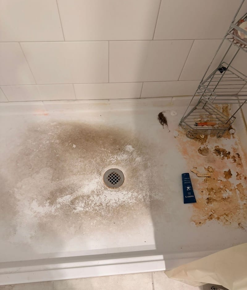 Before cleaning: Shower Cleaning
