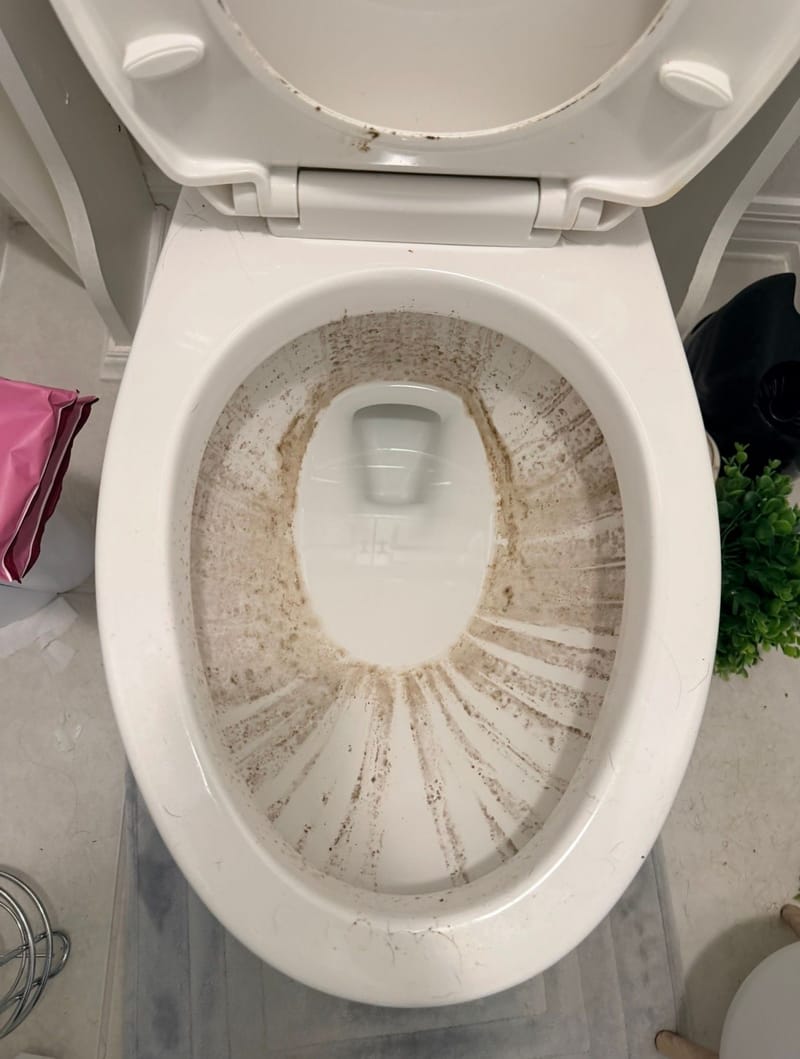 Before cleaning: Toilet Cleaning