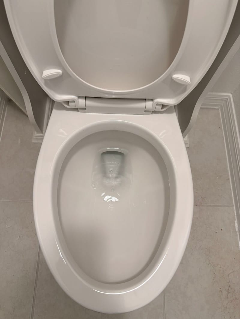 After cleaning: Toilet Cleaning