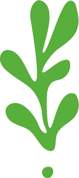 MASSAGE ABHYANGA