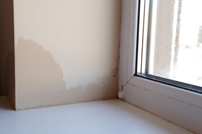 How to Spot Signs of Damp in Your Algarve Property