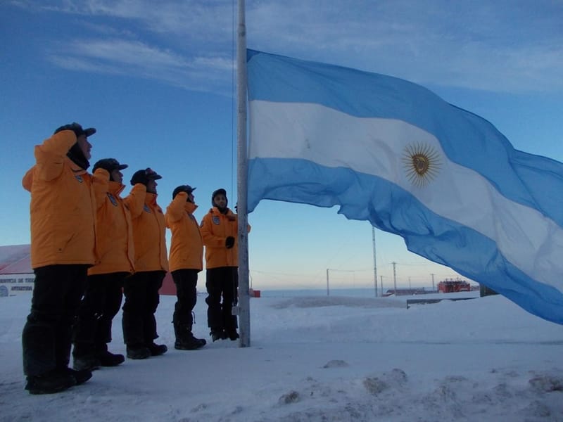 Pingüinos en el ecosistema antártico