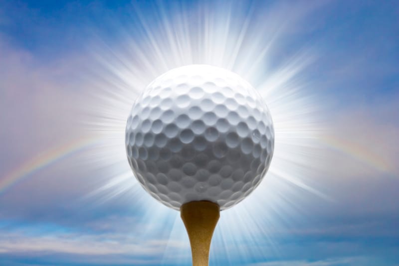 Divine Savior Holy Angels leading after Day 1 at WIAA state girls golf