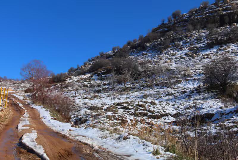 شاحنة نقل على الطريق في لبنان