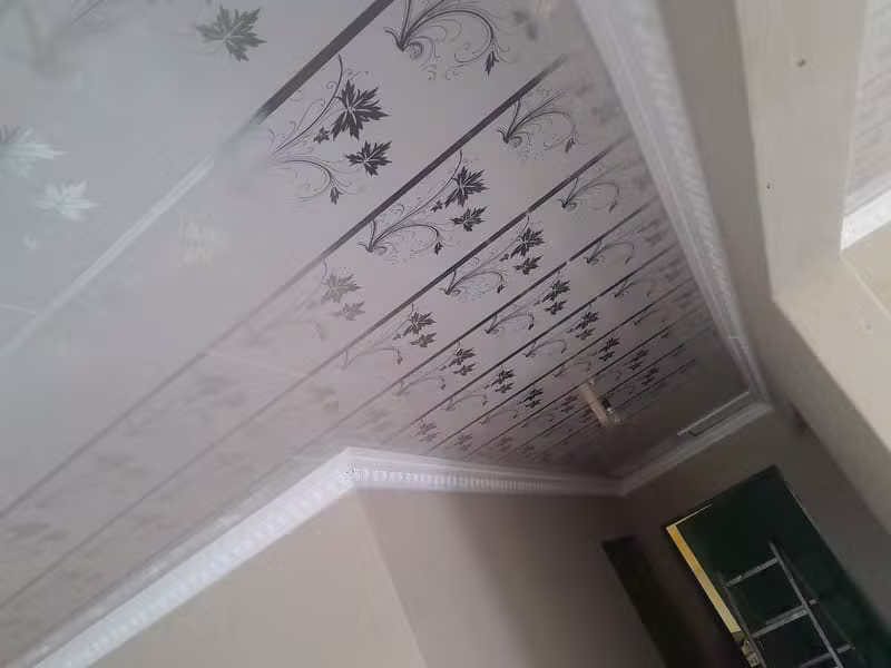 Decorative patterned ceiling with ornate cornice detail