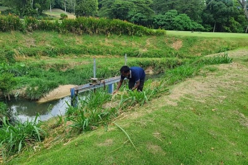 Grass Cutting & Pruning