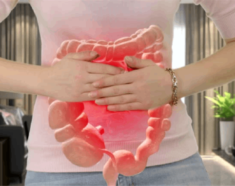 Gut Save daily probiotic and digestive support supplement bottle
