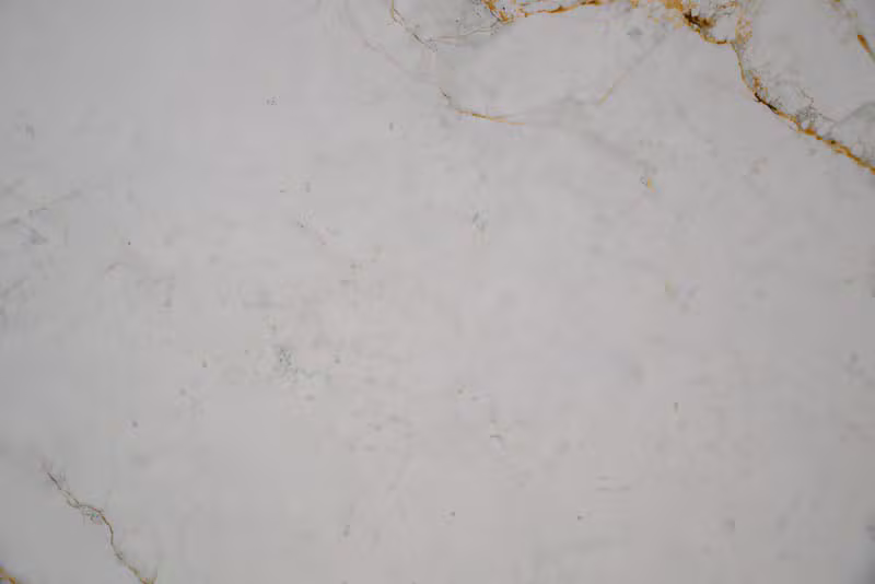Calacatta Bianco — Бял мрамор