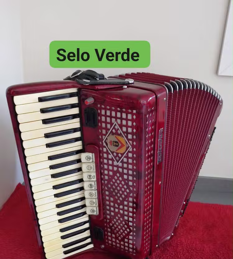 Acordeon Todeschini Selo Verde 120 Baixos