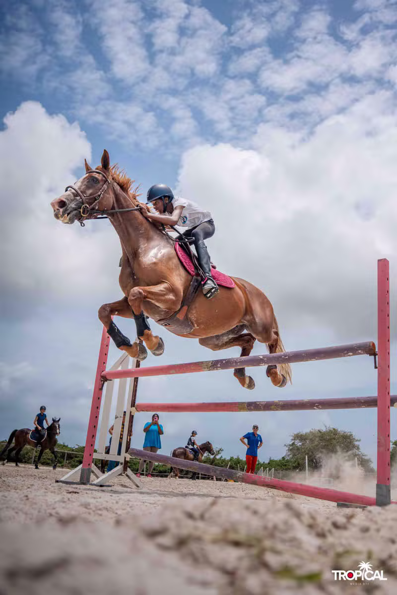 Cavalier franchissant un obstacle lors d'un concours