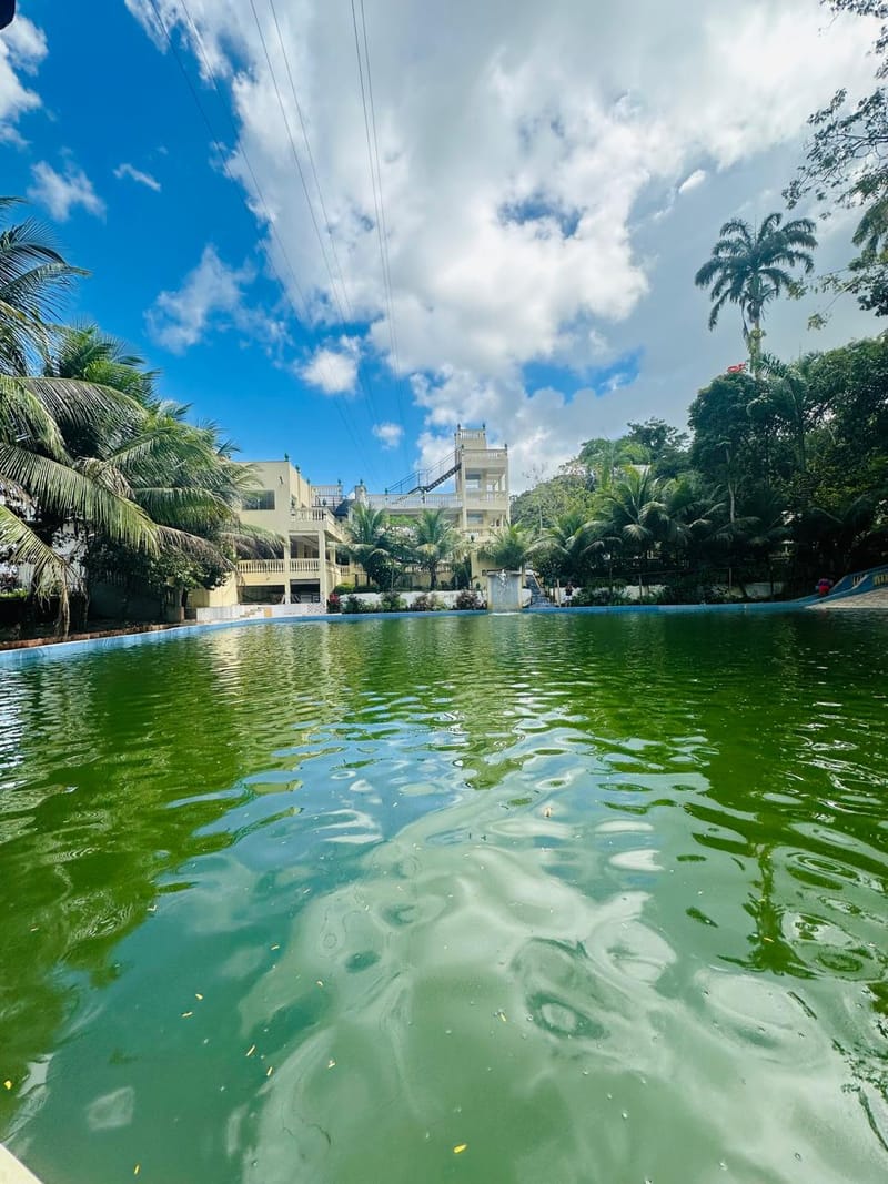 Piscinas naturais cercadas pela vegetação