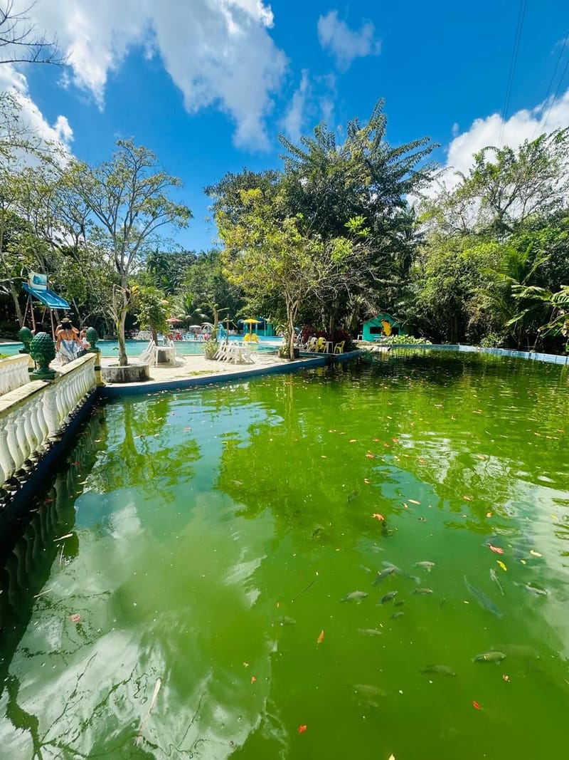 Contato com peixes em água clara