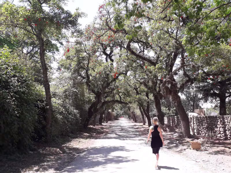 Karel Cooney walking a tree-lined path, reflecting on her journey from survival to transformation