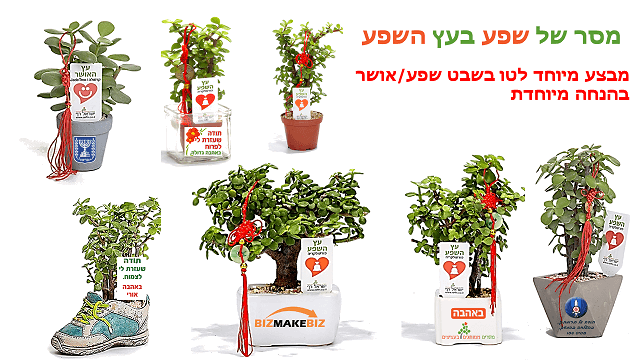 מתנות לטו בשבט, מבחר גדול של סוקולנטים מיוחדים כמתנות לטו בשבט 