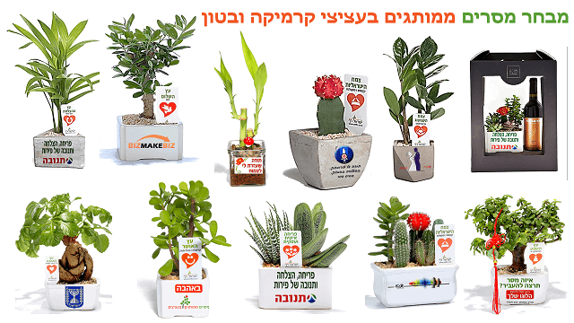 חוזרים לפעילות? עציצים ממותגים יעזרו לכם לחדש את הקשרים עם העובדים והלקוחות 