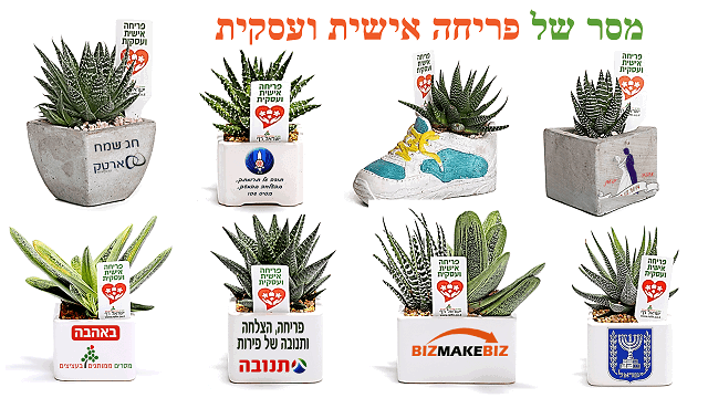 מתנות לראש השנה,  מסר של פריחה אישית ועסקית  לפריחה כלכלית בעסק שלך 