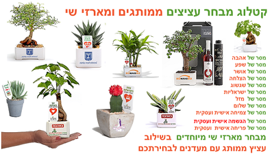 עציץ ממותג, מארזי שי בשילוב עציץ ומעדנים. מצורף קטלוג עציצים ממותגים