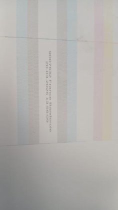 Durst P10 250 — imagine 7