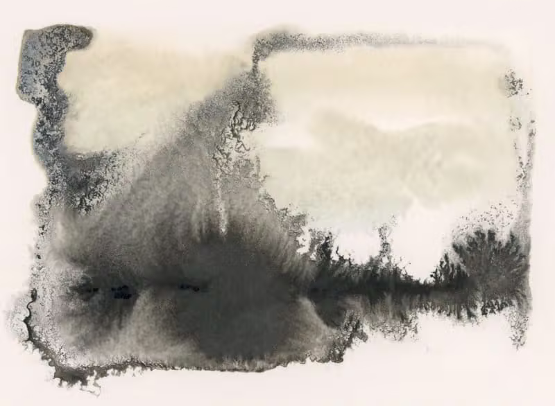 Abstract monotype print in ink on paper