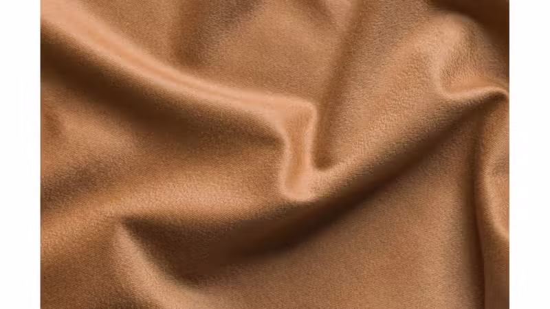 Royal Vicuña fabric texture