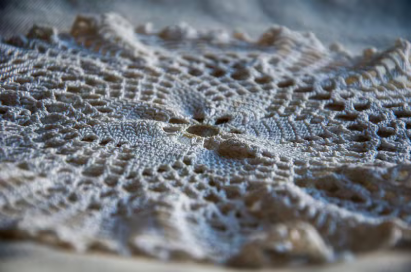 French Haute Lace fabric texture