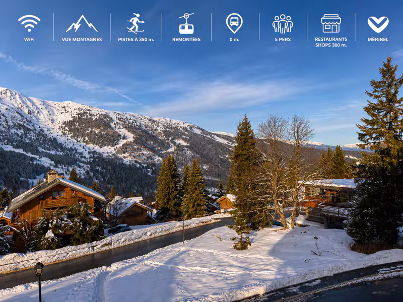 Séjour lumineux en bois clair de l'appartement à Méribel