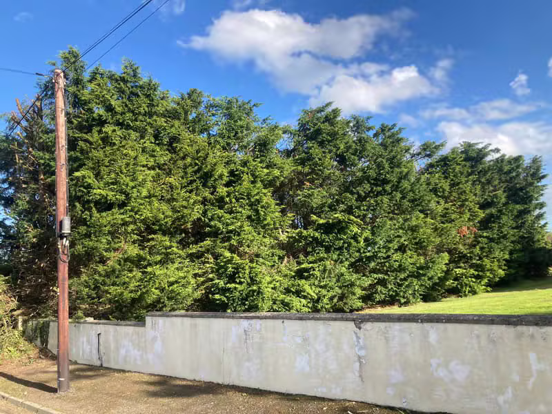 Hedge Reduction