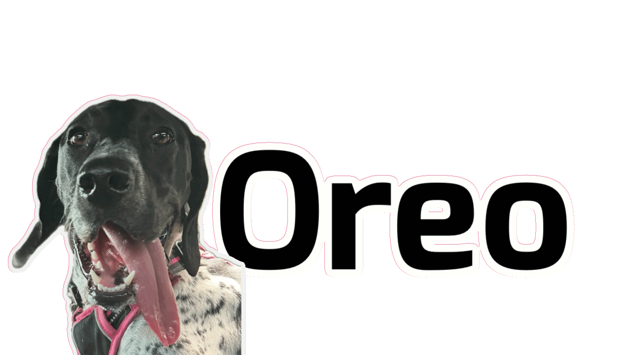 Oreo search engine logo