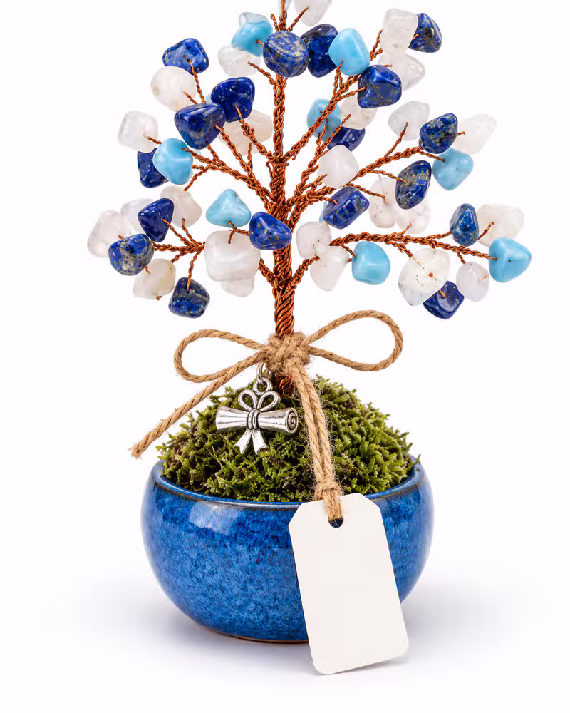 Árbol Lapislázuli Graduación