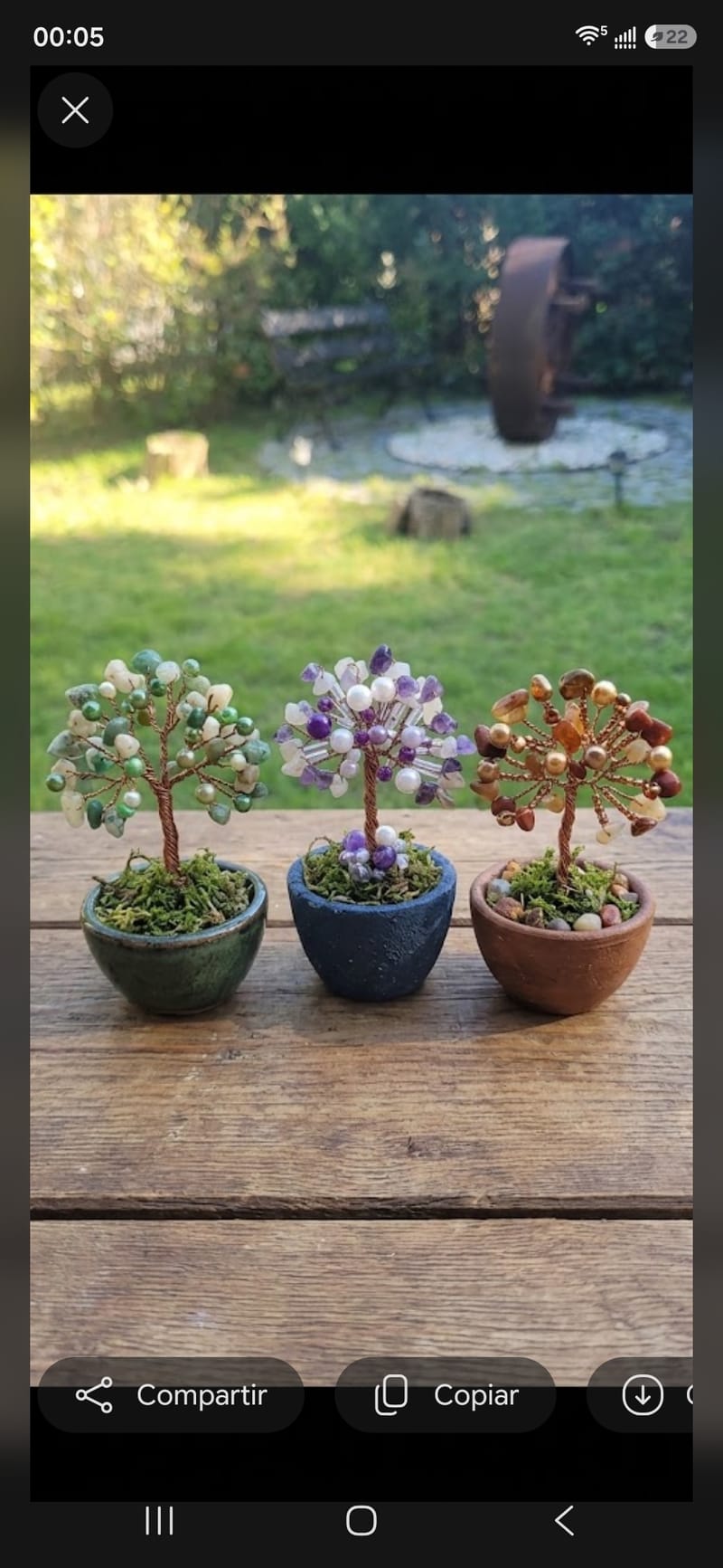 Árbol de la Vida TIERRA