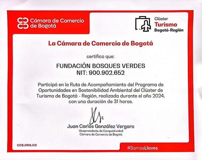 Fundación Bosques Verdes lidera la Ruta 3 de Sostenibilidad Ambiental – Reconocimiento Cámara de Comercio de Bogotá