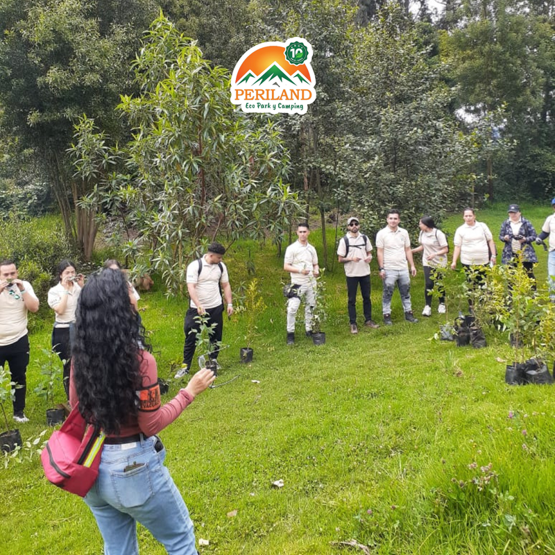 De cantera a bosque: la historia de transformación de Periland Eco Park