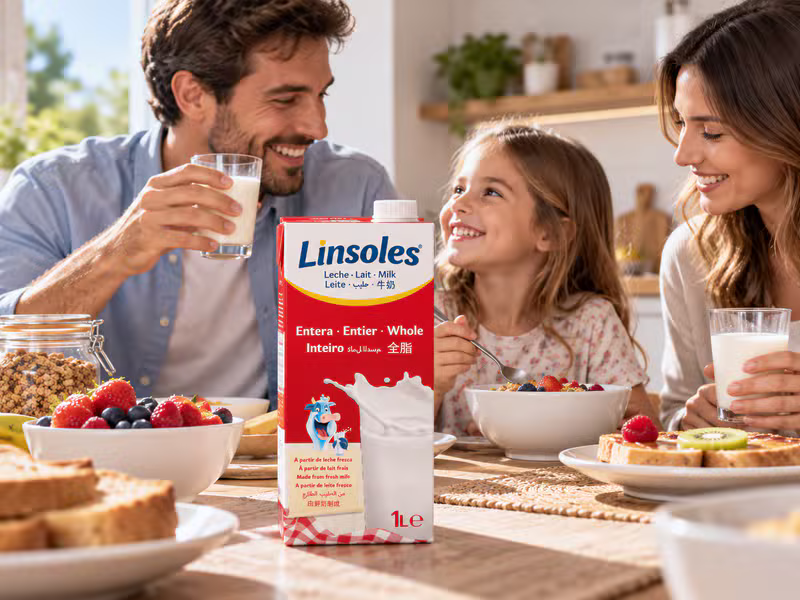 Bricks de leche fresca de alta calidad de LINSOLES listos para su distribución